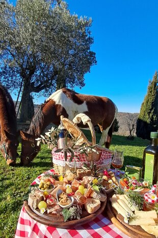 20251227_122743bella bis